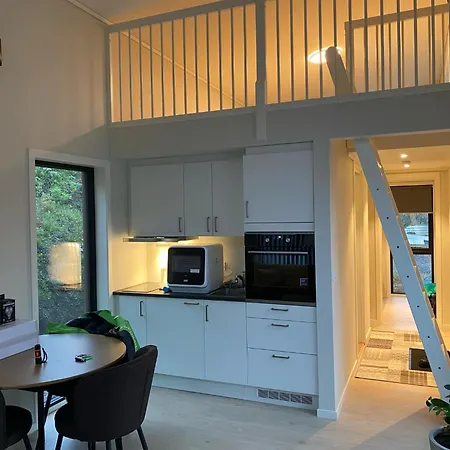 Moderne Minihus